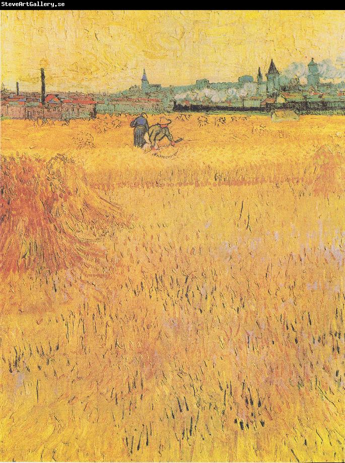 Vincent Van Gogh View from the Wheat Fields